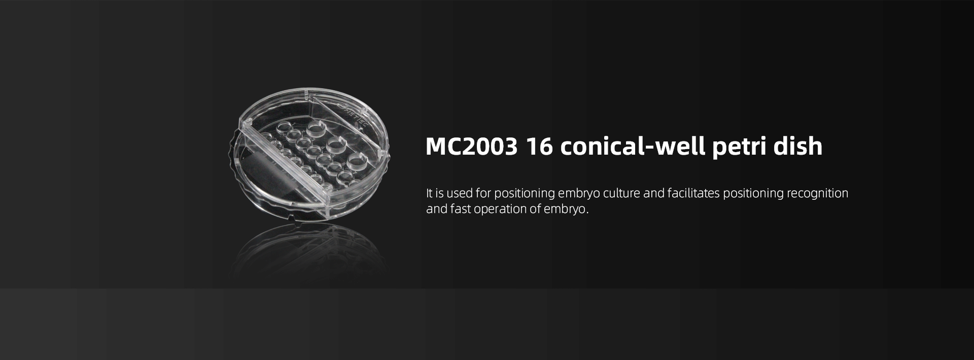 MC2003