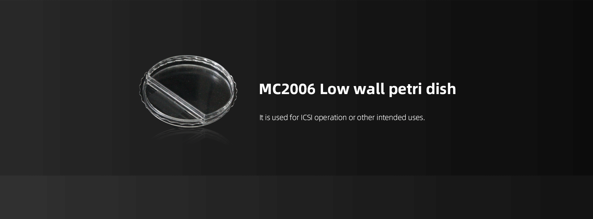 MC2006